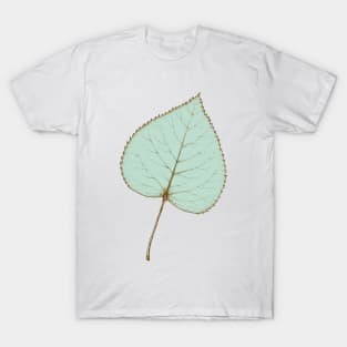 Linden leaf botanical line drawing in pastel green T-Shirt